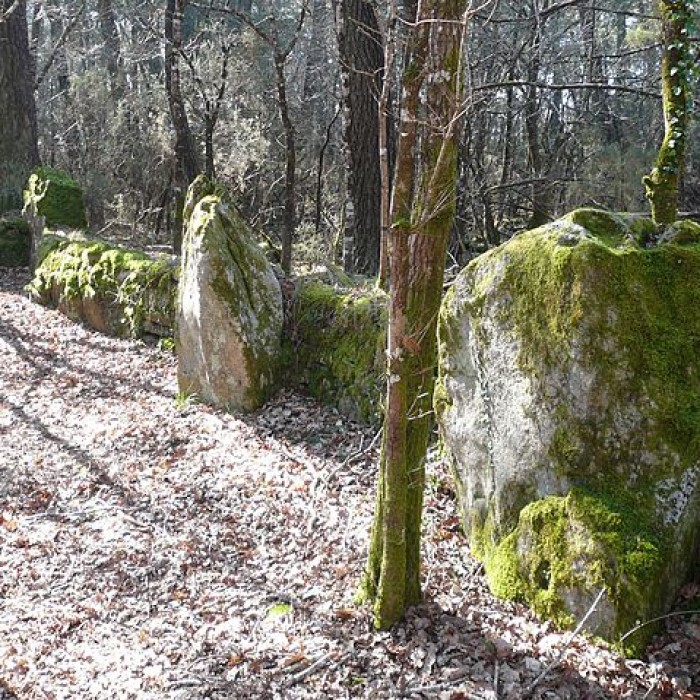 Photo de Cromlech nord de Kerlescan à Carnac
