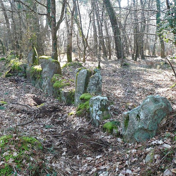 Photo de Cromlech nord de Kerlescan à Carnac