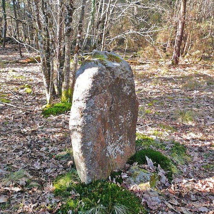 Photo de Cromlech nord de Kerlescan à Carnac