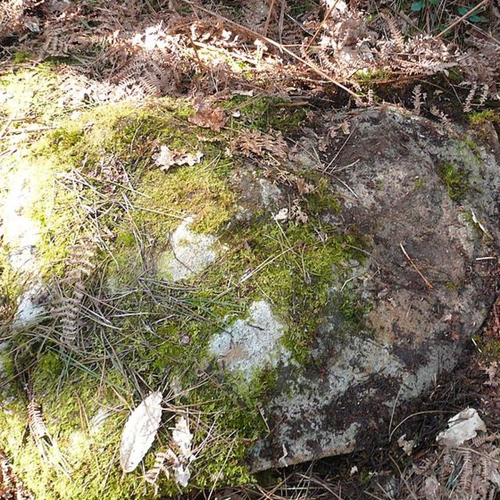 Photo de Cromlech nord de Kerlescan à Carnac