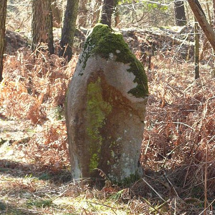Photo de Cromlech nord de Kerlescan à Carnac