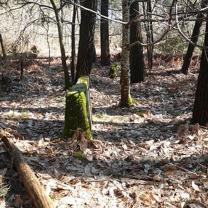 Photo de Cromlech nord de Kerlescan à Carnac