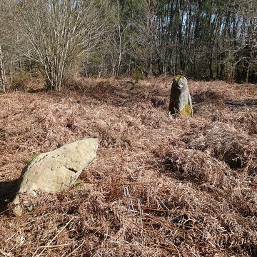 Cromlech nord de Kerlescan à Carnac