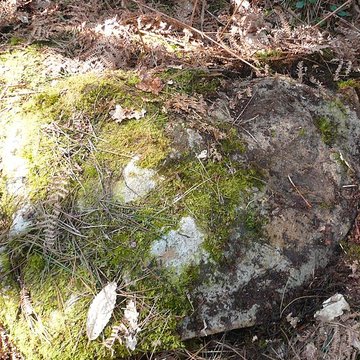 Cromlech nord de Kerlescan à Carnac