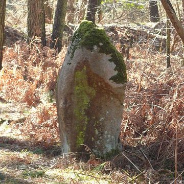 Cromlech nord de Kerlescan à Carnac