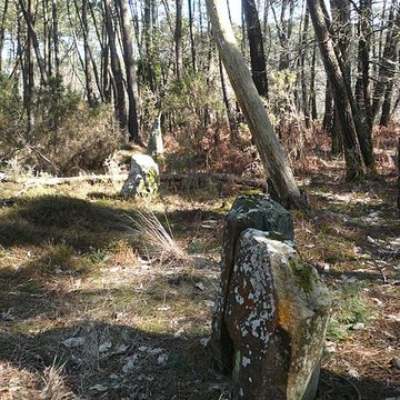 Cromlech nord de Kerlescan à Carnac
