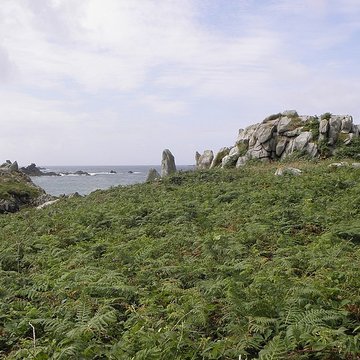 Cromlech Pors-an-Toullou et Ar-Verret à Porspoder
