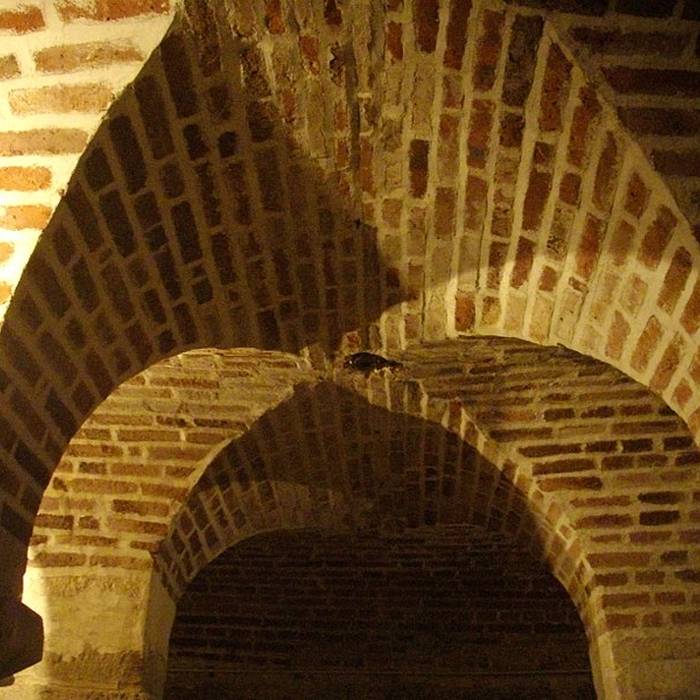 Photo de Crypte Saint-Avit à Orléans