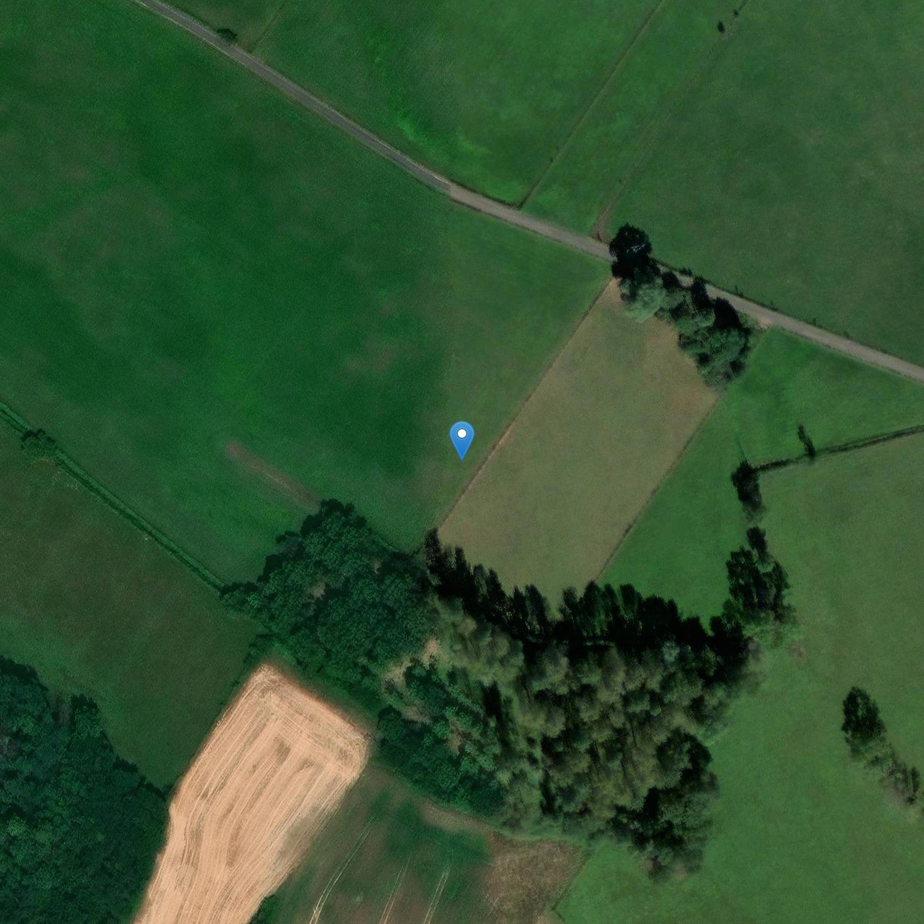 Photo de 萨隆河畔丹皮耶尔的福格斯主屋