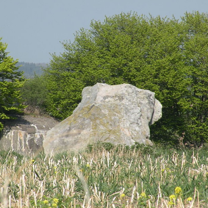 Photo de Deux menhirs dits Pierre Martine à Solre-le-Château