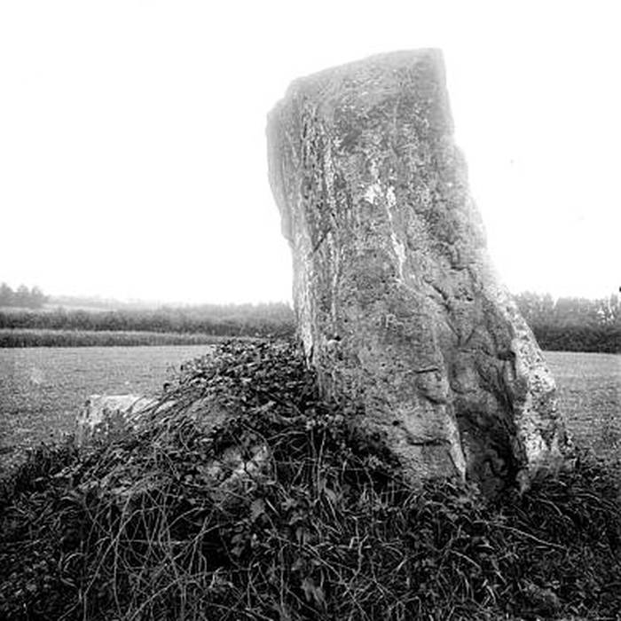 Photo de Deux menhirs dits Pierre Martine à Solre-le-Château