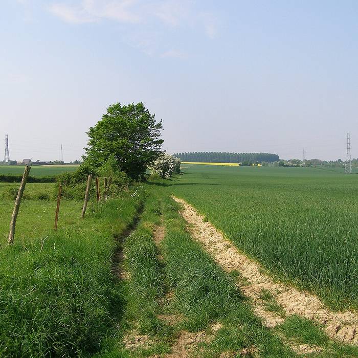 Photo de Deux menhirs dits Pierre Martine à Solre-le-Château