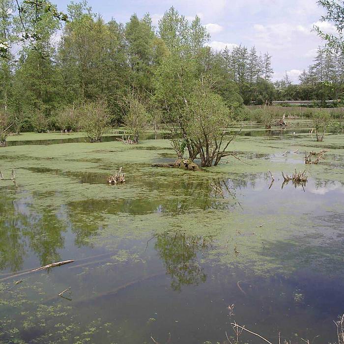 Photo de Deux menhirs dits Pierre Martine à Solre-le-Château