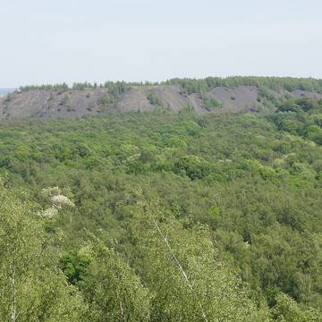 Deux menhirs dits Pierre Martine à Solre-le-Château