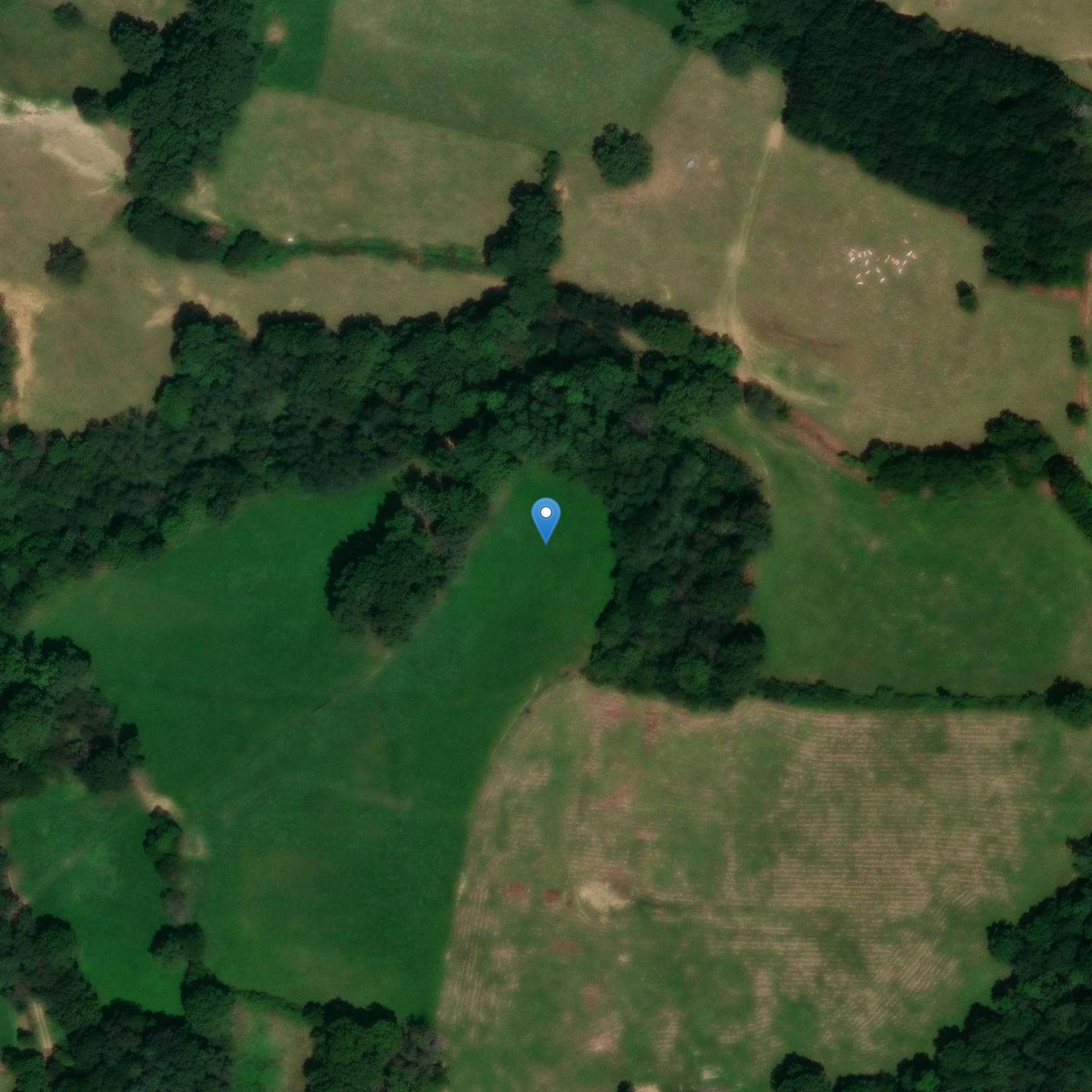 Photo de Deux tumuli d'Arioulès de Chourrine et trois tumuli de Campistrous