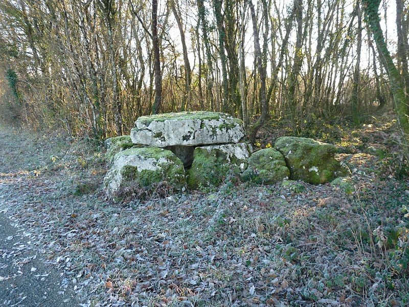 Photo de Dolmen 1 des Grouges de Saint-Ciers-sur-Bonnieure