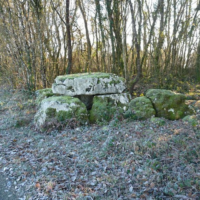Photo de Dolmen 1 des Grouges de Saint-Ciers-sur-Bonnieure