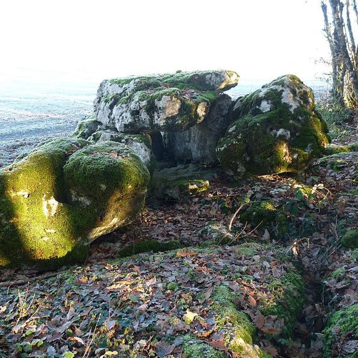 Photo de Dolmen 1 des Grouges de Saint-Ciers-sur-Bonnieure