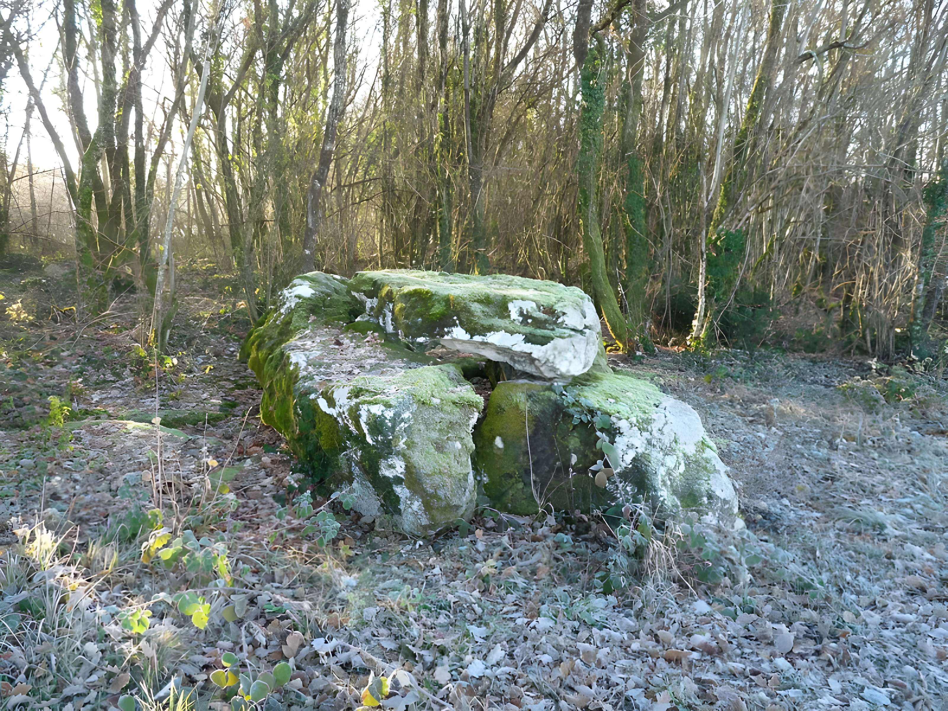 Dolmen 1 des Grouges de Saint-Ciers-sur-Bonnieure