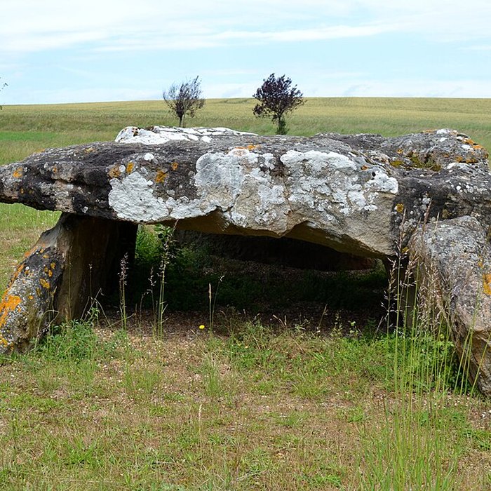 Photo de Dolmen dAillé de Saint-Georges-lès-Baillargeaux