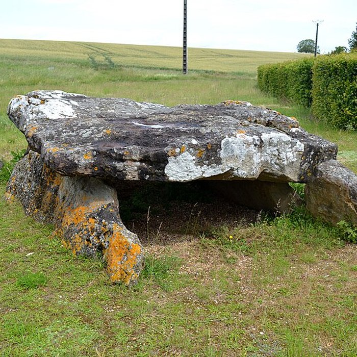 Photo de Dolmen dAillé de Saint-Georges-lès-Baillargeaux