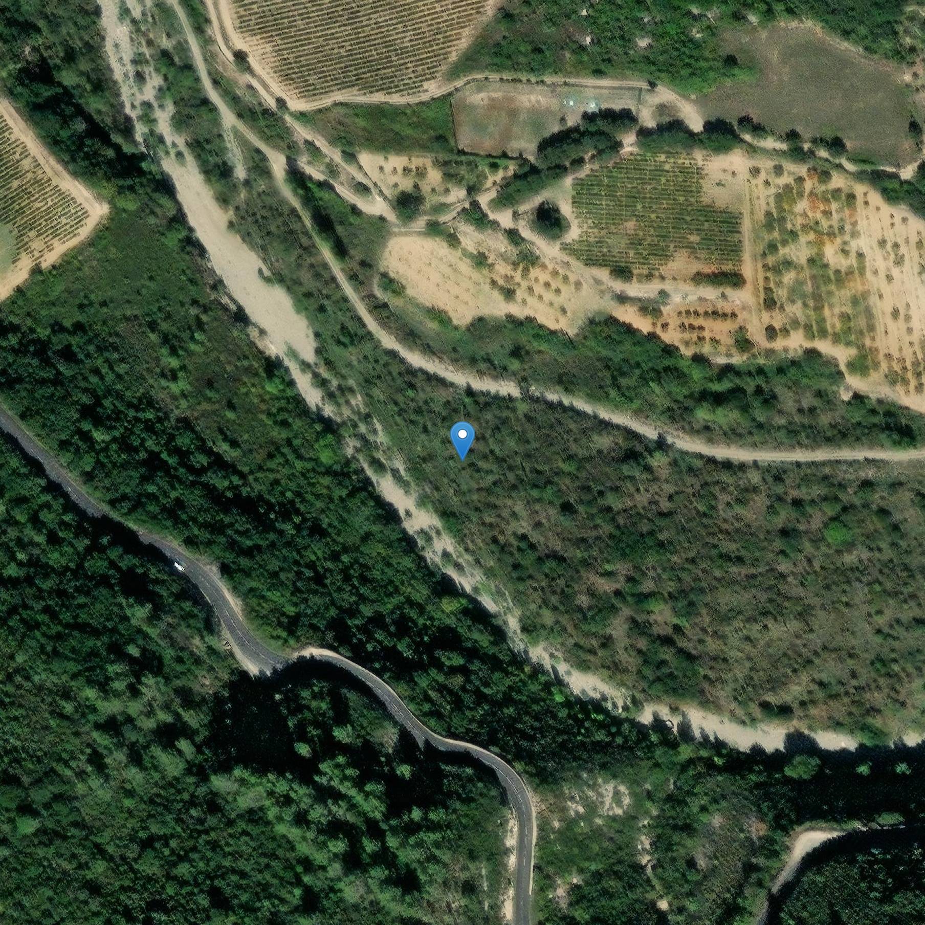 Photo de Bois-Bas de Minerveのtumulusのドルメン