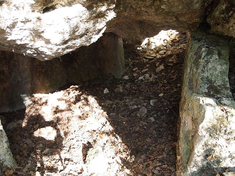 Photo de Dolmen dans le tumulus dit La Motte-de-la-Garde de Luxé