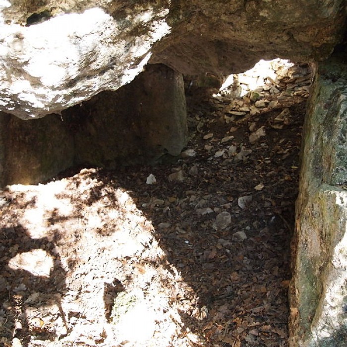 Photo de Dolmen dans le tumulus dit La Motte-de-la-Garde de Luxé