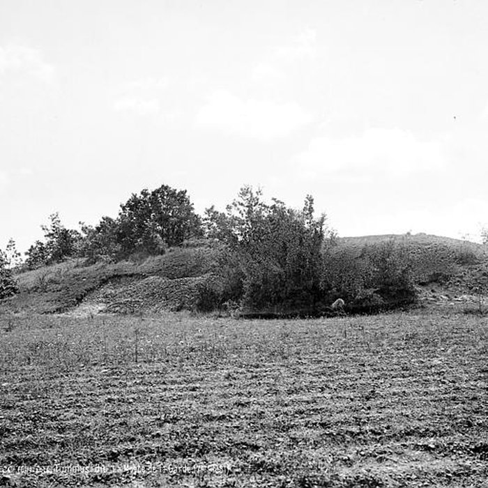 Photo de Dolmen dans le tumulus dit La Motte-de-la-Garde de Luxé