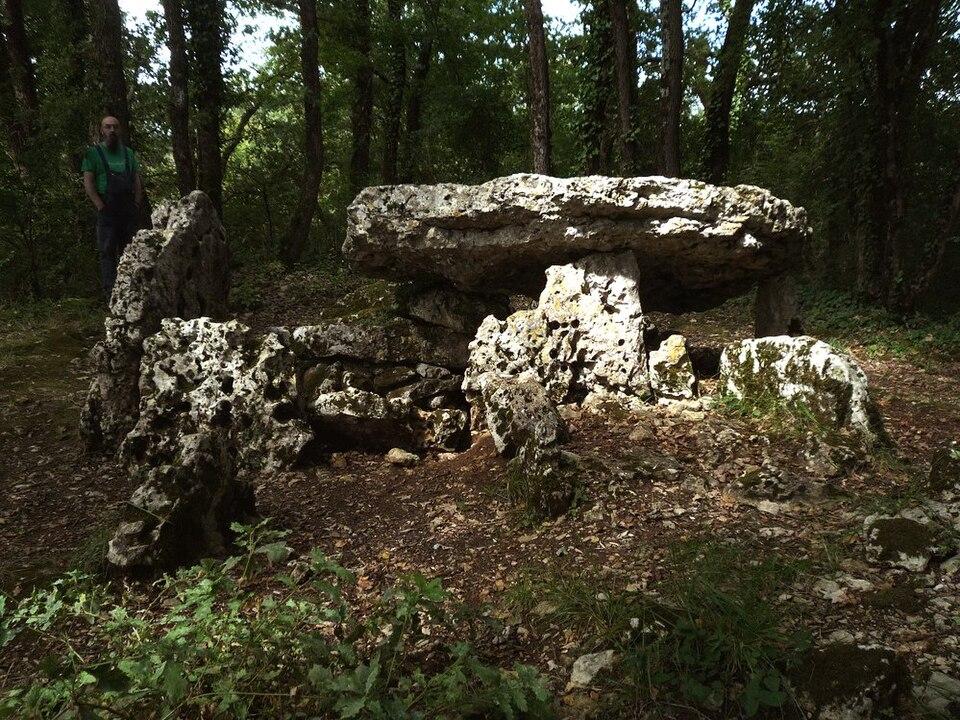 Photo de Dolmen d'Arlait A de Château-Larcher
