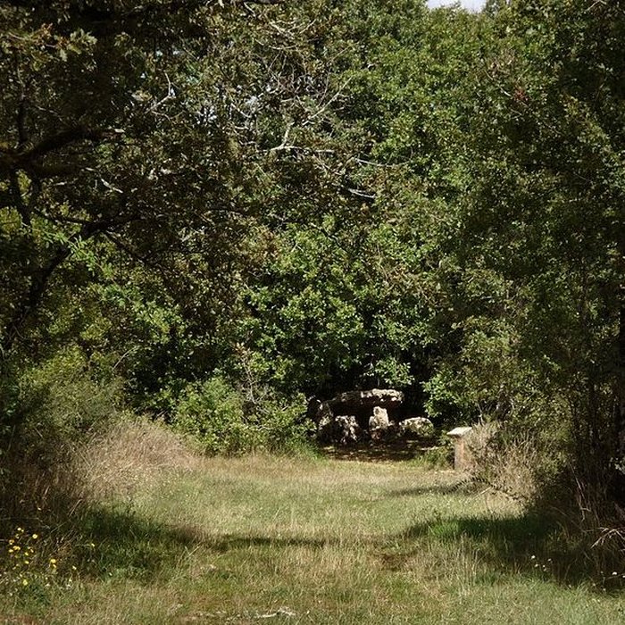 Photo de Dolmen dArlait B de Château-Larcher
