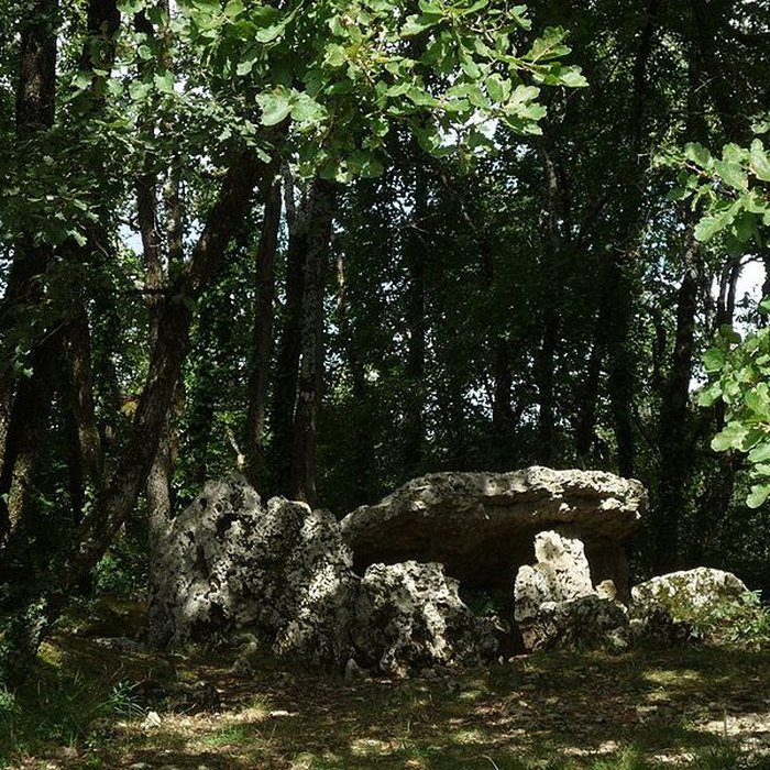 Photo de Dolmen dArlait B de Château-Larcher