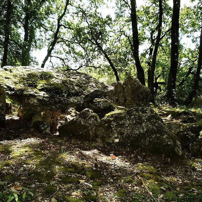 Photo de Dolmen dArlait B de Château-Larcher