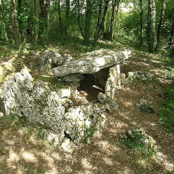 Photo de Dolmen dArlait B de Château-Larcher