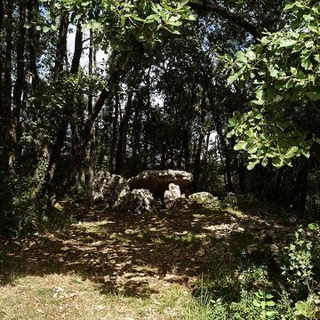 Dolmen dArlait B de Château-Larcher