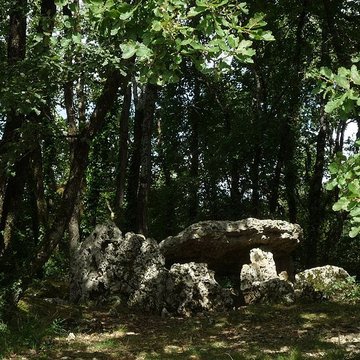 Dolmen dArlait B de Château-Larcher