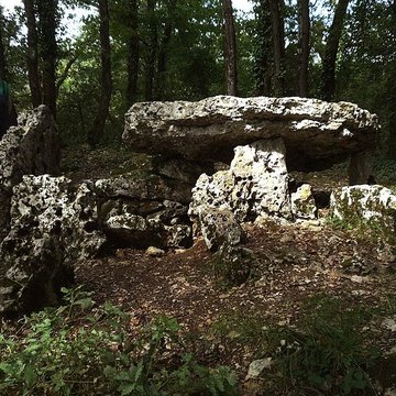Dolmen dArlait B de Château-Larcher