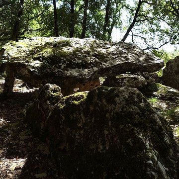 Dolmen dArlait B de Château-Larcher