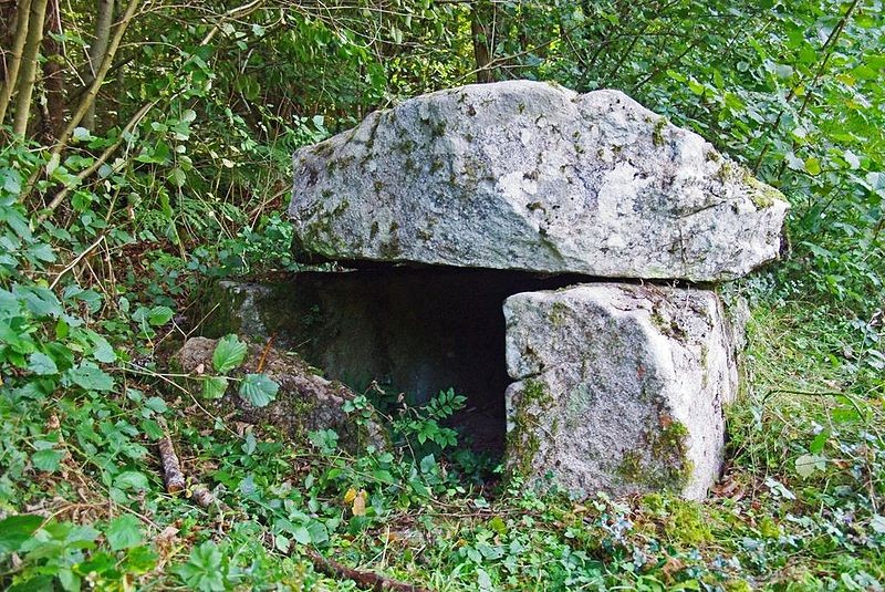 Photo de Dolmen d'Ayer des Bordes-sur-Lez