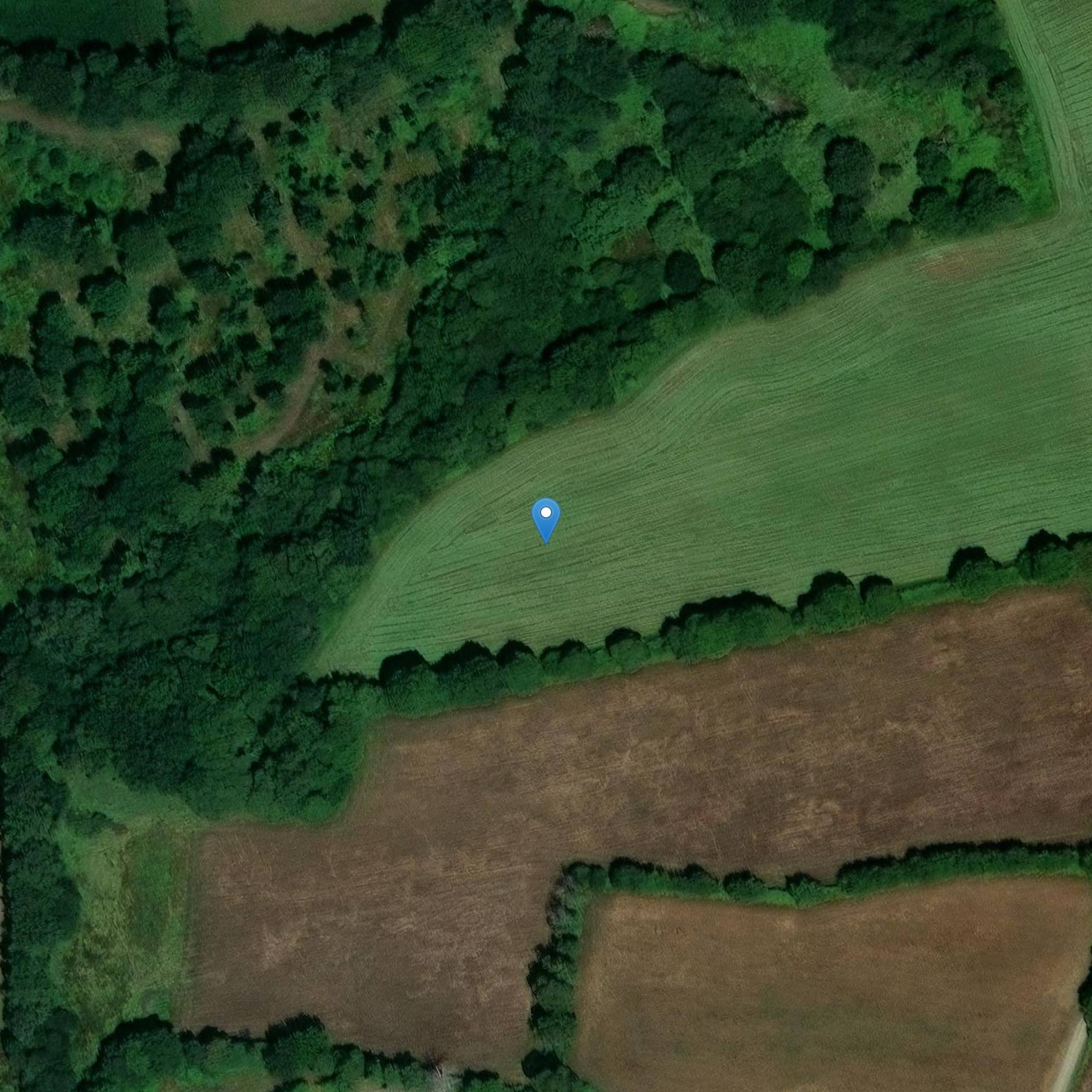 Photo de Dolmen de Benon Parc Goalichot au Trévoux