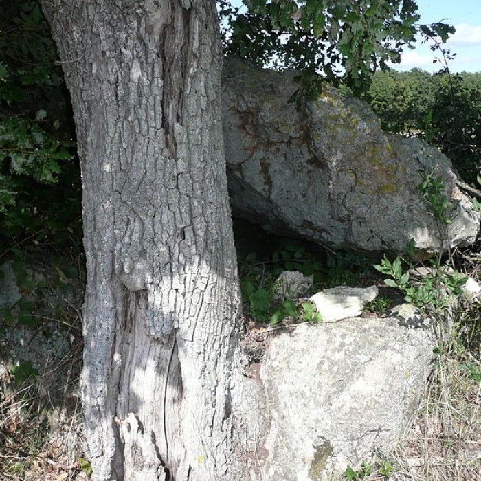 Photo de Dolmen de Chantepierre à Broc