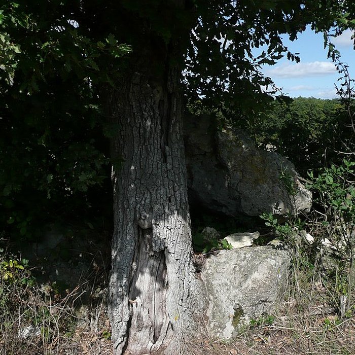Photo de Dolmen de Chantepierre à Broc
