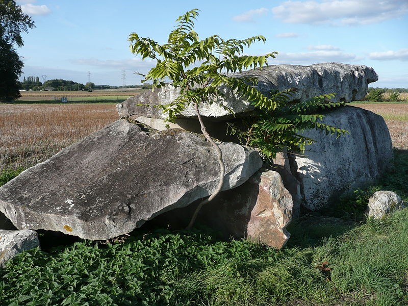 Photo de Dolmen de Charcé à Charcé-Saint-Ellier-sur-Aubance