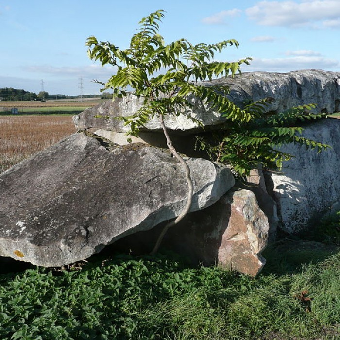 Photo de Dolmen de Charcé à Charcé-Saint-Ellier-sur-Aubance