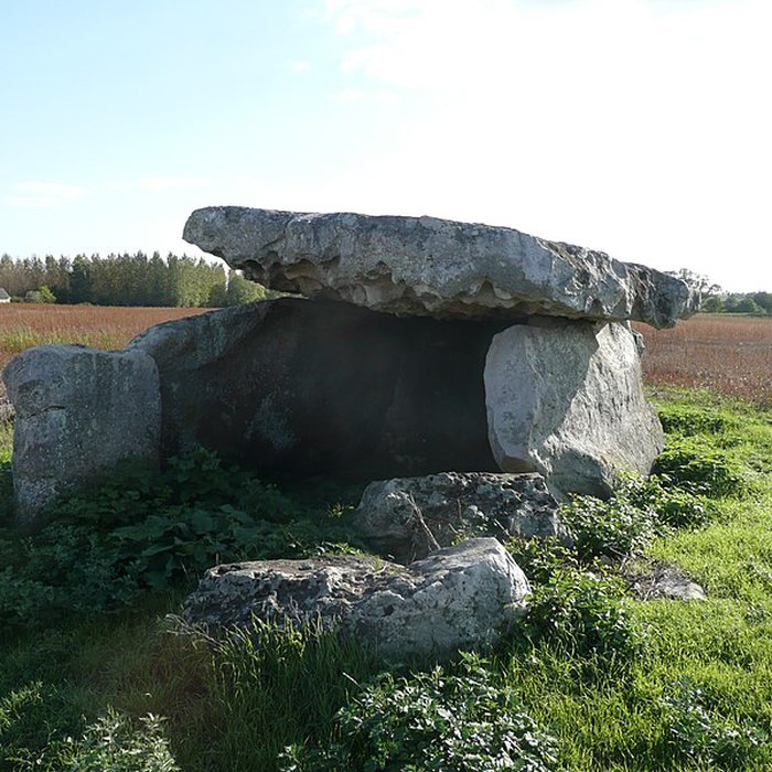 Photo de Dolmen de Charcé à Charcé-Saint-Ellier-sur-Aubance