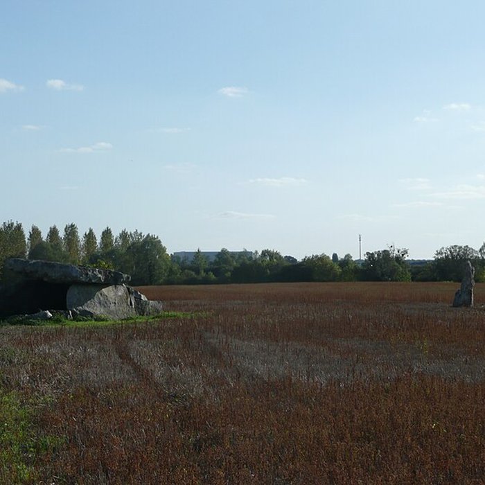 Photo de Dolmen de Charcé à Charcé-Saint-Ellier-sur-Aubance