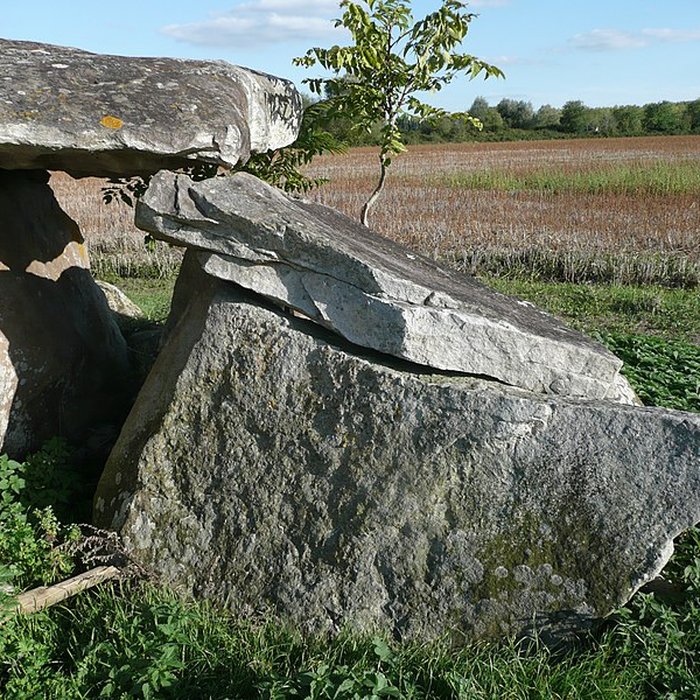 Photo de Dolmen de Charcé à Charcé-Saint-Ellier-sur-Aubance