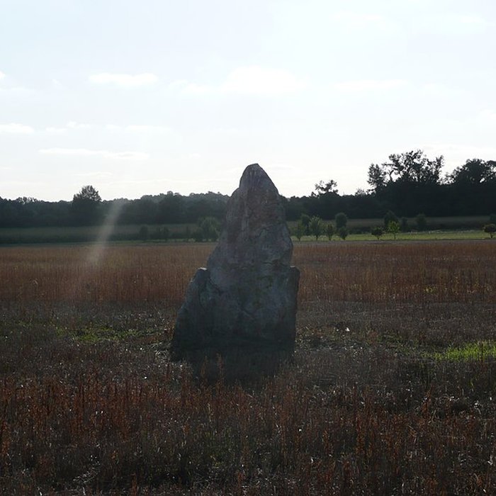 Photo de Dolmen de Charcé à Charcé-Saint-Ellier-sur-Aubance