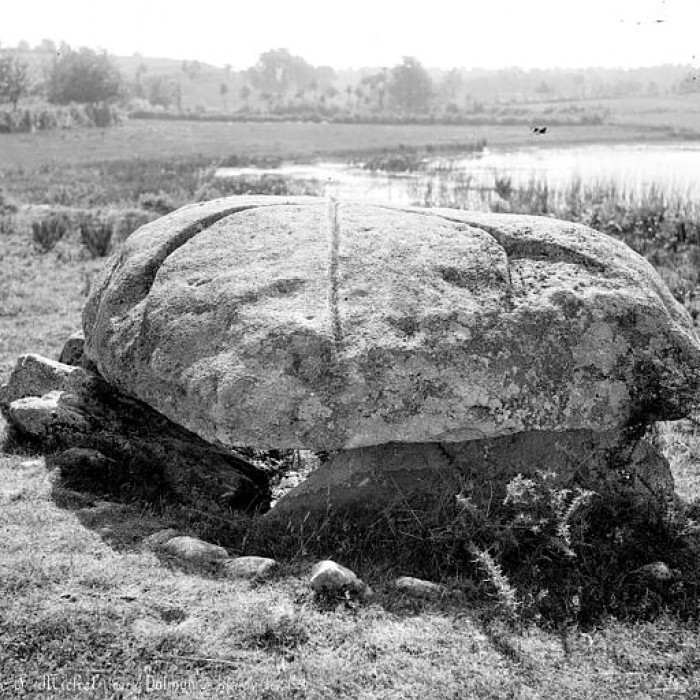 Photo de Dolmen de Chardy à Orsennes