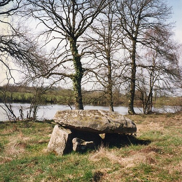 Photo de Dolmen de Chardy à Orsennes
